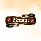 Brugge Kaas recepten 아이콘