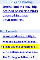 Bird and Bird Watching Updates screenshot 1