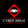 CISSP CyberNinja Lite