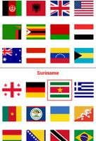 Logo Quiz - World Flags Guide screenshot 1