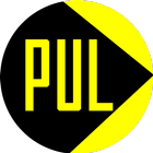 Pul Taxi-Conductor icono