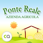 Ponte Reale أيقونة