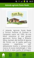 Ponte Reale poster