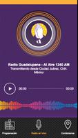 Radio Guadalupana App screenshot 1