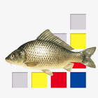 Zoetwatervissen van Nederland-icoon