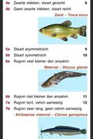 برنامه‌نما Zoetwatervissen van Nederland عکس از صفحه