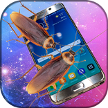 Cockroach On Screen Joke