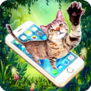 القط على شاشة الهاتف - مزحة APK
