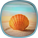 Sea Shell Live Wallpaper HD APK