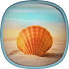 Sea Shell Live Wallpaper HD icon