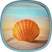 Sea Shell Live Wallpaper HD