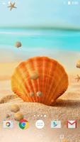 Sea Shell Live Wallpaper HD 海報