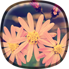 Vintage Flowers Live Wallpaper icône