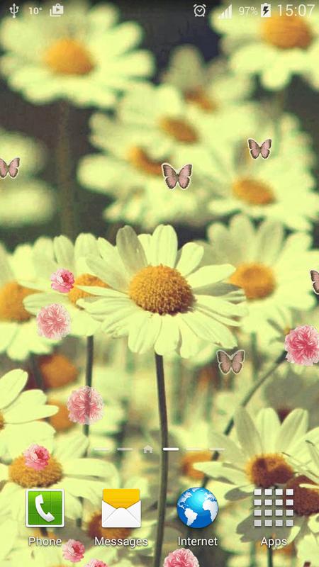 Wallpaper Bunga Anggrek Cantik<br/>