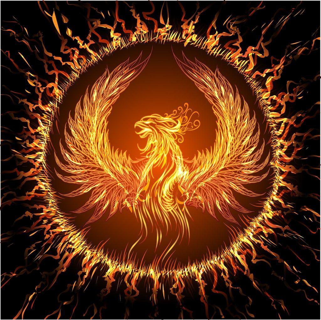 Phoenix Hd Phoenix Hd