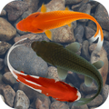 Beautiful Fish Screensaver Fre
