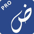 Photex Pro:Текст & фотографиях