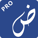 Photex Pro: Texte sur Photos APK