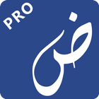 Photex Pro: Texto en Fotos icono