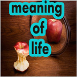 صور بروفايل للواتساب