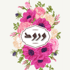 صور ورود icon