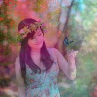 Holi Photo DP bài đăng
