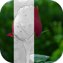 Карандашный Рисунок APK