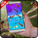 Ants in Phone Prank APK