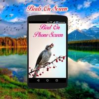 Birds on screen | Prank app Affiche