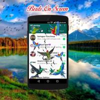 Birds on screen | Prank app 截圖 2