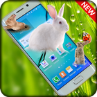Rabbits in Phone | prank app icône