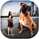 Big Camera - Auto Cut Out - Photo Cut Paste APK