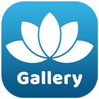 Gallery icône