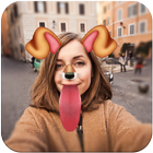 Snappy Face Camera 2018 icône