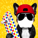 APK cani divertenti fotomontaggio