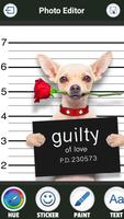Funny Dogs Photo Montage syot layar 2