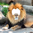 leeuw fotomontage-APK