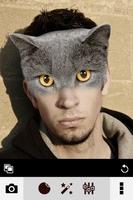 Poster Morphing Furry Faces