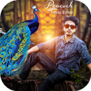 Peacock Photo Frame APK