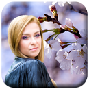 Sakura Photo Frames APK