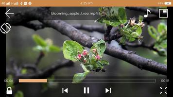 Video Player スクリーンショット 3