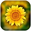 3D Photo Gallery-Photo Manager-Photo Video Gallery