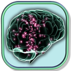 Kids Memory Mind Brain Trainer ikona