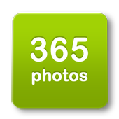 365 Photos icon