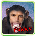 Funny Photo Montage