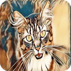 照片触摸艺术效果 APK 下載