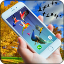Birds on screen | Prank app APK