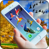 Birds on screen | Prank app icône