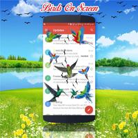 Birds on screen | Prank app capture d'écran 2