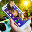 Lion on screen | Prank app